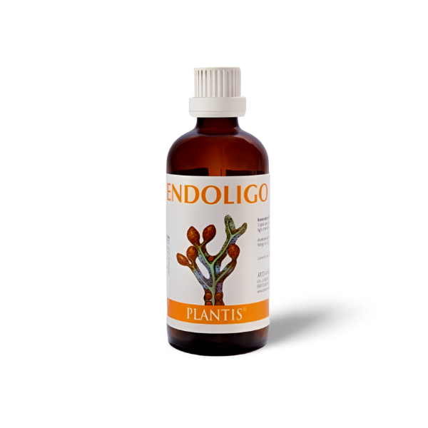 Endoligo